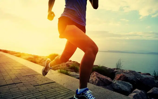 Bên cạnh đó, cơ thể con người luôn không ngừng tiến hóa để thích nghi. Nếu bạn thường xuyên luyện tập chạy đường dài, hệ thống gân cơ sẽ được cải tiến để thích nghi với hoạt động này.