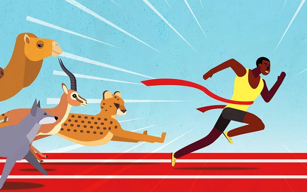 Khi chạy nước rút, đến một lúc nào đó, chúng buộc phải giảm tốc độ và dừng lại để thở nếu không sẽ bị quá nhiệt. Còn con người đã được tiến hóa loại bỏ bộ lông dày.