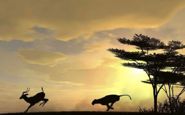 Vì vậy, nếu muốn trở thành nhà vô địch về chạy giữa các loài động vật, chúng ta cần thường xuyên luyện tập để đánh thức bản năng chạy bộ, tăng sức dẻo dai của cơ thể.