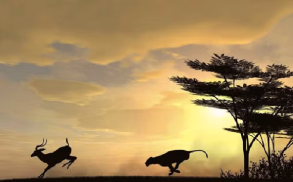 Vì vậy, nếu muốn trở thành nhà vô địch về chạy giữa các loài động vật, chúng ta cần thường xuyên luyện tập để đánh thức bản năng chạy bộ, tăng sức dẻo dai của cơ thể.