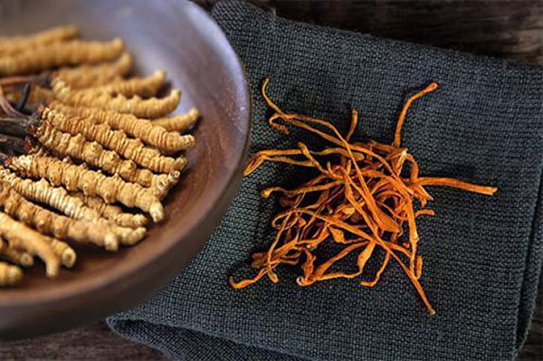 Trung bình, Đông Trung Hạ Thảo tươi nguyên con Tây Tạng có mức giá lên tới 2 tỷ đồng/kg, loại khô nguyên con dao động từ 1,2 đến gần 2 tỷ đồng. Đông Trung Hạ Thảo nuôi trồng lại có mức giá lại mềm hơn, khoảng 60 triệu/kg.