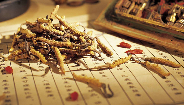 Để tận dụng hết dưỡng chất, cần chế biến đúng cách khi sử dụng Đông Trung Hạ Thảo. Rửa sạch rồi ngâm với rượu khoảng 1 tháng là dùng được. Trước khi đi ngủ uống 1 chén nhỏ để bồi bổ sức khỏe, cải thiện ăn ngủ, tăng cường sinh lý.