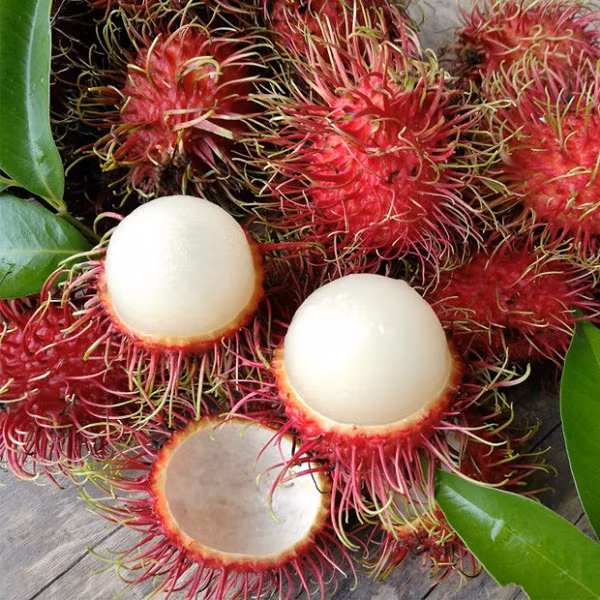 Tiếp theo là trái chôm chôm có xuất xứ từ khu vực Đông Nam Á. Giống quả thuộc họ Sapindaceae, trái có lông bao kín bên ngoài, chuyển từ xanh sang đỏ khi chín, quả ăn có vị ngọt.