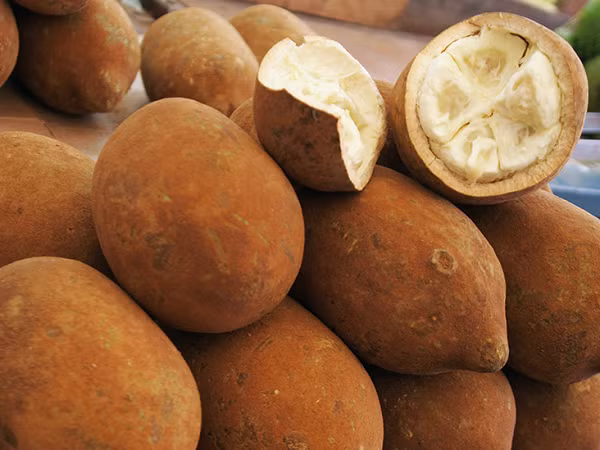 Quả Theobroma Grandiflorum thuộc họ cẩm quỳ, nguồn gốc rừng nhiệt đới Amazon (Nam Mỹ). Nó được ví là một loại "siêu trái cây" bởi hàm lượng dinh dưỡng. Thịt của quả có thể dùng làm kem dưỡng ẩm dành cho da.