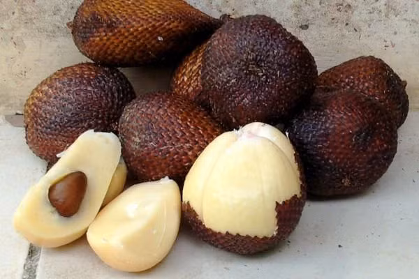 Quả da rắn (Salak) là quả họ cọ, mọc thành từng chùm, chủ yếu được trồng ở vùng đất cát núi lửa nên không lạ khi salak trở thành đặc sản của riêng Indonesia. Nó có mùi thơm và vị như tổng hợp từ dứa, chuối với lạc. Vỏ của loại quả này khá cứng nên khi ăn cần phải cẩn thận để không làm đứt tay.