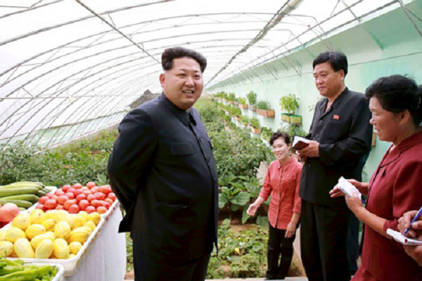 Lãnh đạo Triều Tiên Kim Jong-un thăm nông trại Jangchon ngày 30/6/2015.