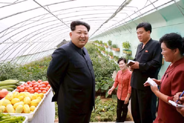 Lãnh đạo Triều Tiên Kim Jong-un thăm nông trại Jangchon ngày 30/6/2015.