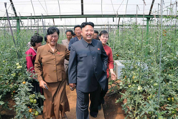 Hình ảnh nhà lãnh đạo Triều Tiên Kim Jong Un chỉ đạo các hoạt động sản xuất được đăng tải rộng rãi.