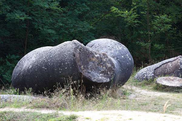 Các nhà nghiên cứu không tìm thấy sự khác biệt giữa trovant và nền cát xung quanh. Vì vậy, họ nghi ngờ hình cầu được hình thành do hoạt động địa chấn kéo dài và dữ dội bất thường của kỷ Miocen giữa.