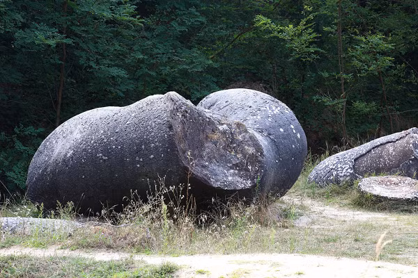 Các nhà nghiên cứu không tìm thấy sự khác biệt giữa trovant và nền cát xung quanh. Vì vậy, họ nghi ngờ hình cầu được hình thành do hoạt động địa chấn kéo dài và dữ dội bất thường của kỷ Miocen giữa.