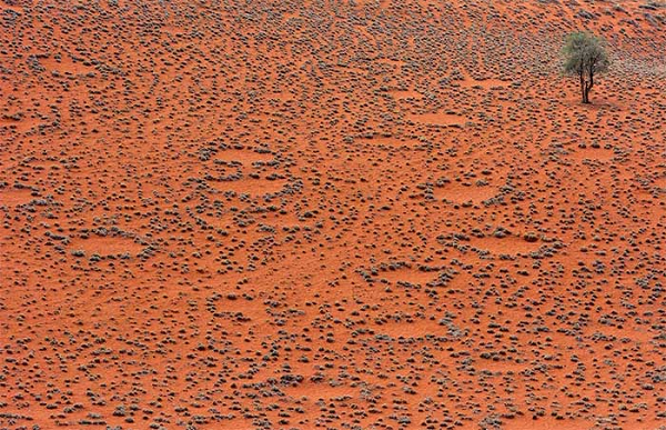 Vòng tròn cổ tích xuất hiện trên những vùng đất rộng lớn, khô cằn như sa mạc Namib ở châu Phi và một số vùng hẻo lánh tại Australia. Chúng có hình dạng vòng tròn đối xứng, được bao quanh bởi các thảm thực vật với kích thước lên đến 34,7 m. Mời các bạn xem video: Khung cảnh thiên nhiên tuyệt đẹp tại các quốc gia ít dân nhất thế giới 