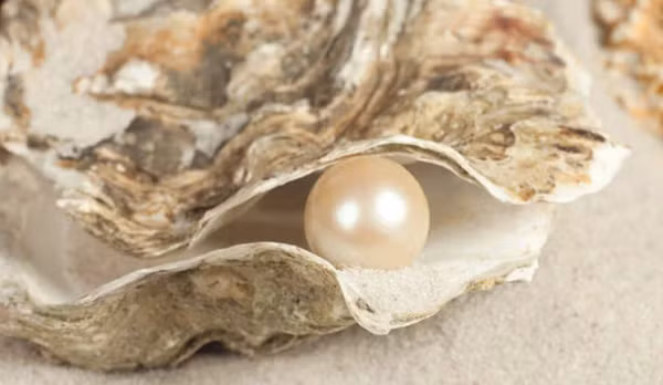 Ngọc trai hay còn được biết đến với tên gọi trân châu là một vật hình cầu được tạo ra từ một cơ thể sống của loại nhuyễn thể như con trai. Ngọc trai được sử dụng phổ biến trong trang sức hoặc cũng có thể tán thành bột để làm mỹ phẩm.