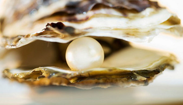 Ngọc trai được tạo thành từ canxi cacbonat (chủ yếu là Aragonit), có cấu trúc tinh thể hình thoi. Điều này làm cho Ngọc trai hình thành các lớp đồng tâm, dẫn đến hình ảnh viên ngọc độc đáo mà chúng ta thường thấy.