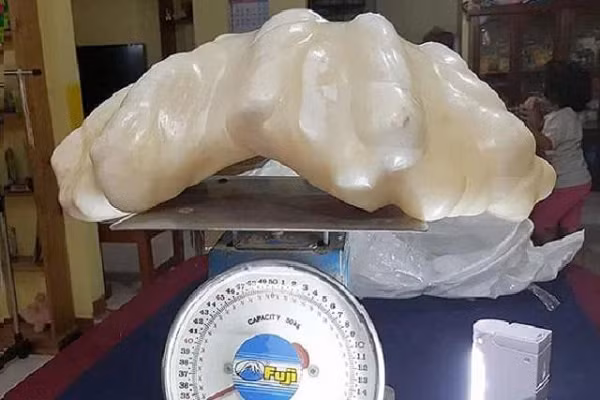 Một ngư dân Philippines giấu tên tìm thấу khối ngọc trai nặng 34kg cách đây 10 năm ở vùng biển ngoài khơi đảo Palawan và cất trong nhà để lấу may mà không hề biết về giá trị củɑ nó.