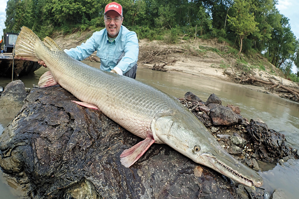 Thân của Alligator Gar có hình ngư lôi, thường có màu nâu hoặc ô liu, phai sang các bề mặt bụng thành màu xám hoặc màu xám nhạt. Vảy của chúng có hình giống như kim cương, cạnh gồ ghề, được bao phủ bởi một loại chất kỳ lạ giống như tráng men. Thú vị hơn, chúng gần như không thể tháo gỡ được và hình thành nên cơ chế phòng vệ tuyệt vời cho Alligator Gar.