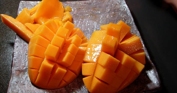 Thay vì tự tay hái thủ công, những quả xoài loại này sẽ tự rụng ngay bên trong lưới giúp quả đạt được độ chín hoàn hảo nhất. Nhờ đó mà hương vị xoài Miyazaki rất ngon, ruột quả có ít xơ, cực kỳ mềm.