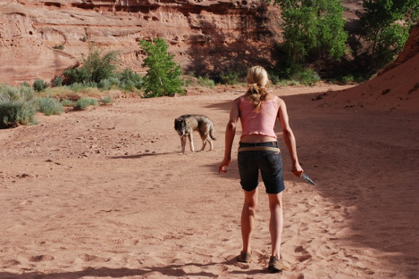 Đừng nghĩ rằng con người có thể thoát khỏi động vật hoang dã bằng cách chạy thật nhanh vì ta luôn chậm hơn chúng. Khi gặp các loài động vật hoang dã, tốt hơn hết là bạn nên tìm hiểu về tập tính của chúng để bảo vệ bản thân.