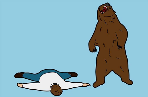 Khi gặp gấu phải giả vờ chết. Tuy nhiên gấu tấn công chính là để bảo vệ mình và các con. Nhưng khi giả vờ chết, bạn cũng có thể thu hút sự chú ý và con vật sẽ muốn kiểm tra vật thể lạ.