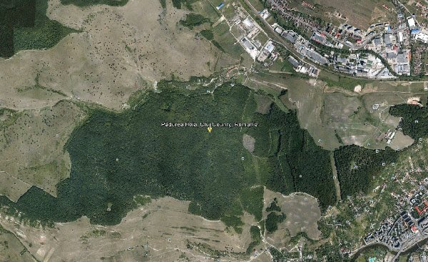 Nhiều người đồn thổi rằng, có lẽ khu đất đó ẩn chứa một điều thần bí nào nên cây cối mới không thể mọc được cây như vậy. Vào thập niên 70, nhà sinh học Alexandru Sift cùng đồng nghiệp đã quay lại đây và nghiên cứu vấn đề này.