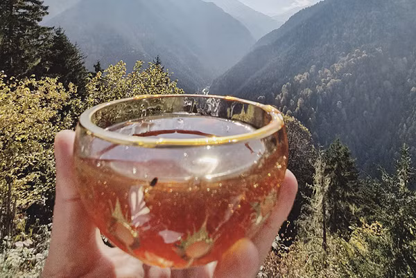  Mật ong Centauri vô cùng khác biệt so với những loại thông thường. Mỗi cân có giá cực đắt đỏ, lên tới 10.000 Euro, tương đương 271 triệu đồng.