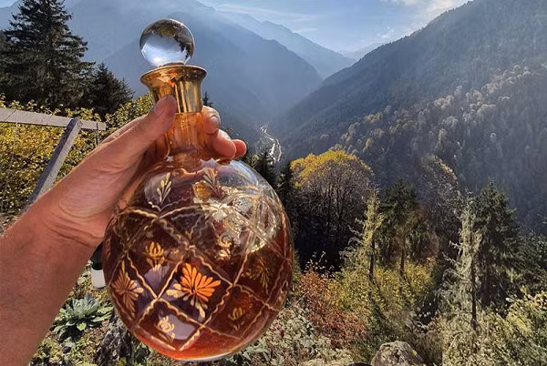 Ong mật Caucasian chịu được thời tiết lạnh và độ cao lớn, giữ cách xa nơi ở của con người hoặc bất kỳ đàn ong nào khác khoảng 50 km để chắc chắn chúng không có cơ hội tiếp xúc với bất cứ căn bệnh truyền bệnh nào.