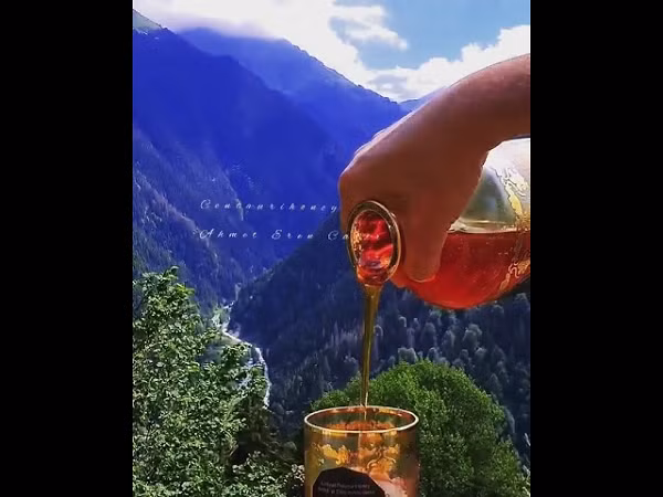 Hơn hết chỉ có những thành phẩm tốt nhất mà người thợ săn mật ong lành nghề cho phép mới được thu hoạch. Sau đó, các mẫu mật ong được thu hoạch phải gửi về cho Hội đồng Khoa học, Viện Thực phẩm Thổ Nhĩ Kỳ để xác minh chất lượng.