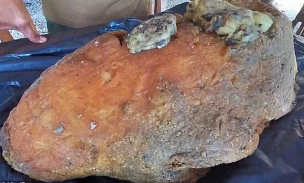 Thức ăn của cá nhà táng chủ yếu là mực nang, bạch tuộc và trong khoang miệng của các loài động vật này có hàm bằng chất sừng dẻo cứng và răng, không dễ tiêu hóa.