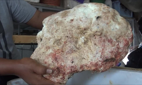 Ambrein, một thành phần hóa học có trong long diên hương, được sử dụng trong ngành công nghiệp nước hoa nhằm kích thích khứu giác và kéo dài mùi hương. Đây cũng là nguyên liệu điều chế nước hoa Chanel số 5 nổi tiếng.