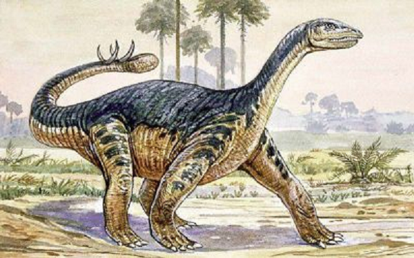 Hóa thạch cho thấy, khủng long Shunosaurus có bộ não nhỏ hơn nhiều so với cơ thể to lớn của chúng và dài tới gần 10m.