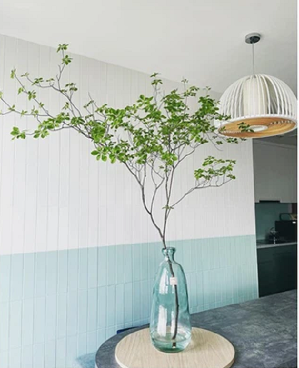 Cành thạch nam giống như đào, lê ở Việt Nam nhưng khá nhỏ và mỏng manh, do đó khi vận chuyển phải cẩn thận, nhẹ nhàng nếu không rất dễ gãy.