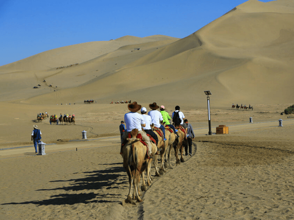 Cách thức truyền thống để tới hồ Nguyệt Nha Tuyền là bằng lạc đà. Đây cũng là cách dễ dàng nhất để khám phá sa mạc Gobi.