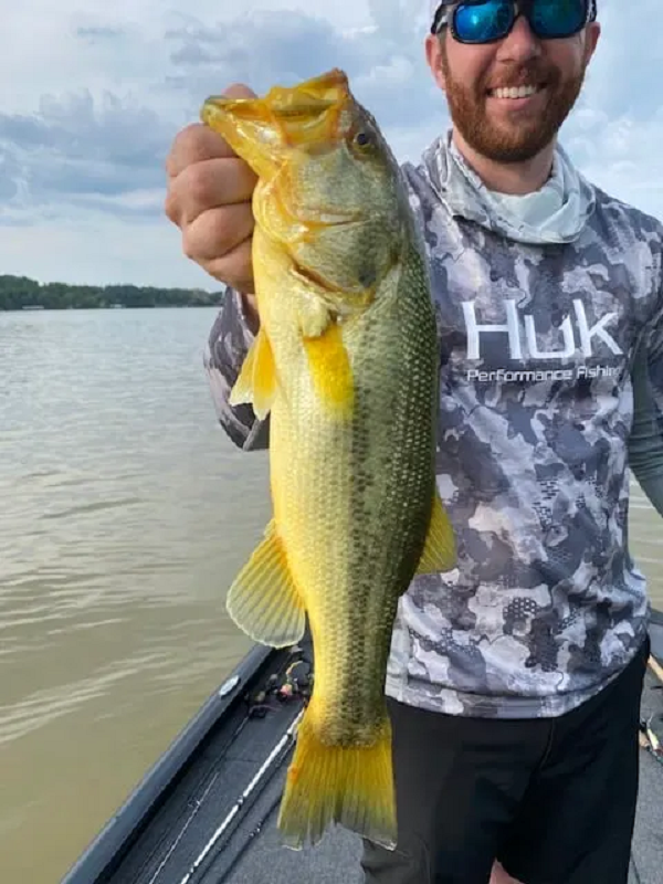 Xanthochroism là một biến thể di truyền ở các động vật khác nhau có xương sống, do con vật bị thiếu sắc tố đen và nâu, trong khi sắc tố đỏ và vàng (ở da hoặc lông) vẫn phát triển bình thường, dẫn đến con vật có màu vàng hoặc màu hơi đỏ