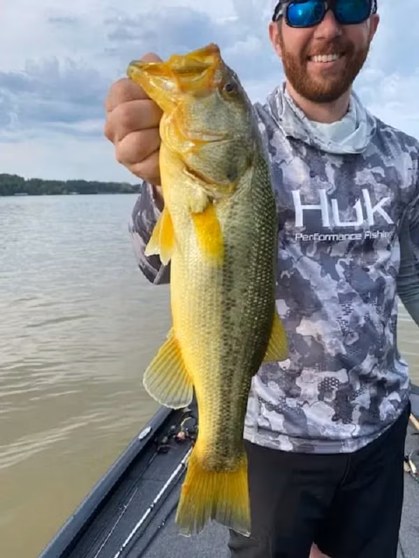 Xanthochroism là một biến thể di truyền ở các động vật khác nhau có xương sống, do con vật bị thiếu sắc tố đen và nâu, trong khi sắc tố đỏ và vàng (ở da hoặc lông) vẫn phát triển bình thường, dẫn đến con vật có màu vàng hoặc màu hơi đỏ