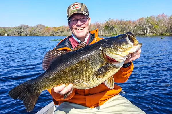 Chúng có đặc trưng là miệng rộng, những đốm đen kéo dài đến tận vây đuôi, nhưng không có chấm đen ở cuống vi đuôi, vi lưng có sự phân chia không rõ rệt.