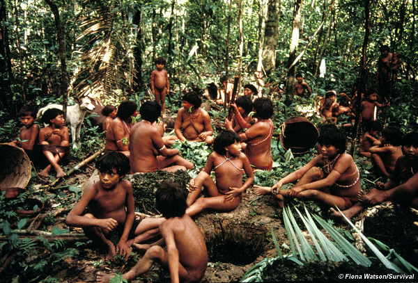 Bộ tộc Yanomami là thổ dân da đỏ bản địa ở vùng rừng rậm Amazon nằm ở biên giới giữa Venezuela và Brasil với dân số chừng 20.000 người. Bộ tộc này có một tục lệ kỳ lạ chính là ăn tro cốt của người chết sau khi hỏa táng như cách để tỏ lòng thương xót với người đã mất.