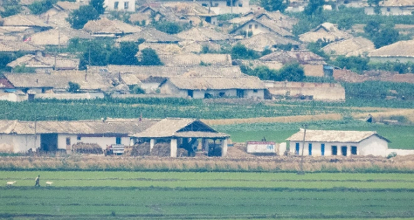 Các bức ảnh phần nào cho thấy những ruộng ngô đang phát triển, trong khi những đống lúa mì hoặc cỏ khô được che chắn dưới tán cây. Ngành nông nghiệp Triều Tiên không hoàn thành kế hoạch sản xuất ngũ cốc vì thiệt hại do bão vào năm ngoái