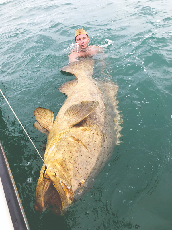 Cá mú Goliath (Goliath Grouper) có tên khoa học là Epinephelus itajara, là loài lớn nhất trong các giống cá mú ở vùng tây bắc Đại tây dương. Nó có thể nặng tới 455 kg và dài 2 m.