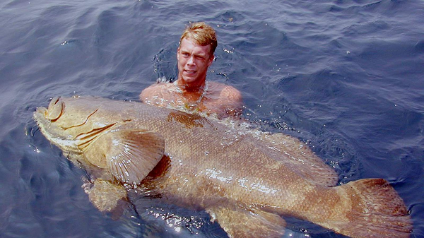 Cá mú Goliath không phải là sinh vật bản địa ở South Carolina. Chúng sống chủ yếu ở vùng biển nhiệt đới quanh Florida, Vịnh Mexico, Bahamas, ven bờ biển Brazil và Caribe.