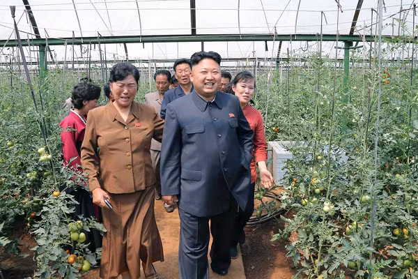 Hình ảnh nhà lãnh đạo Triều Tiên Kim Jong Un chỉ đạo các hoạt động sản xuất được đăng tải rộng rãi.