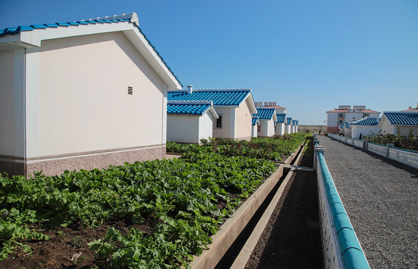 Nông trại Jangchon được ví như một bức tranh.