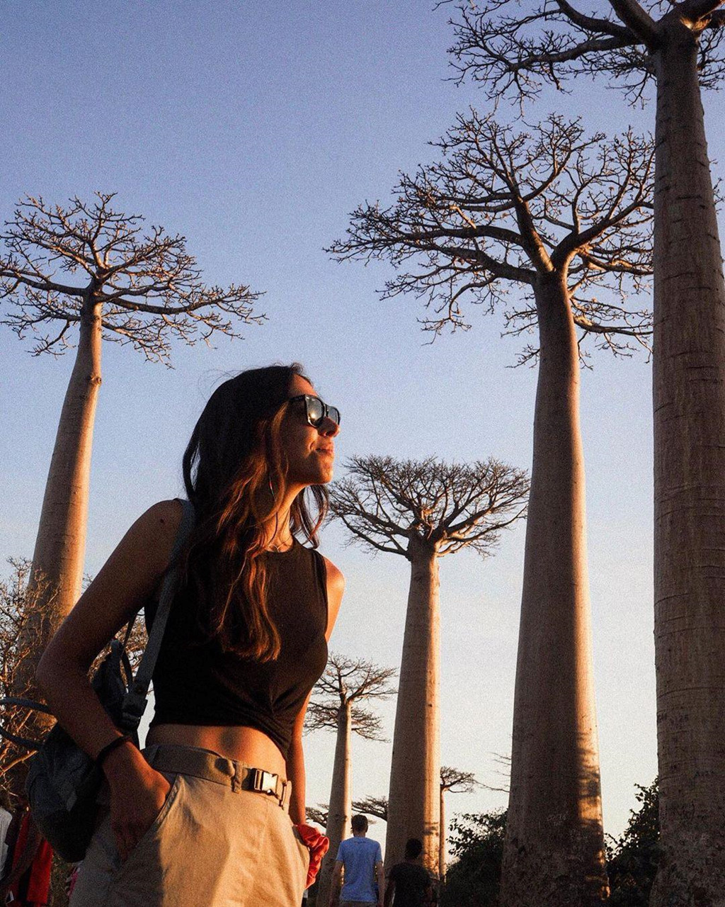 Hàng cây liên tiếp với những thế đứng độc đáo, sừng sững giữa trời, tạo nên phong cảnh kỳ vĩ, tuyệt đẹp. Ảnh: Maissydc.