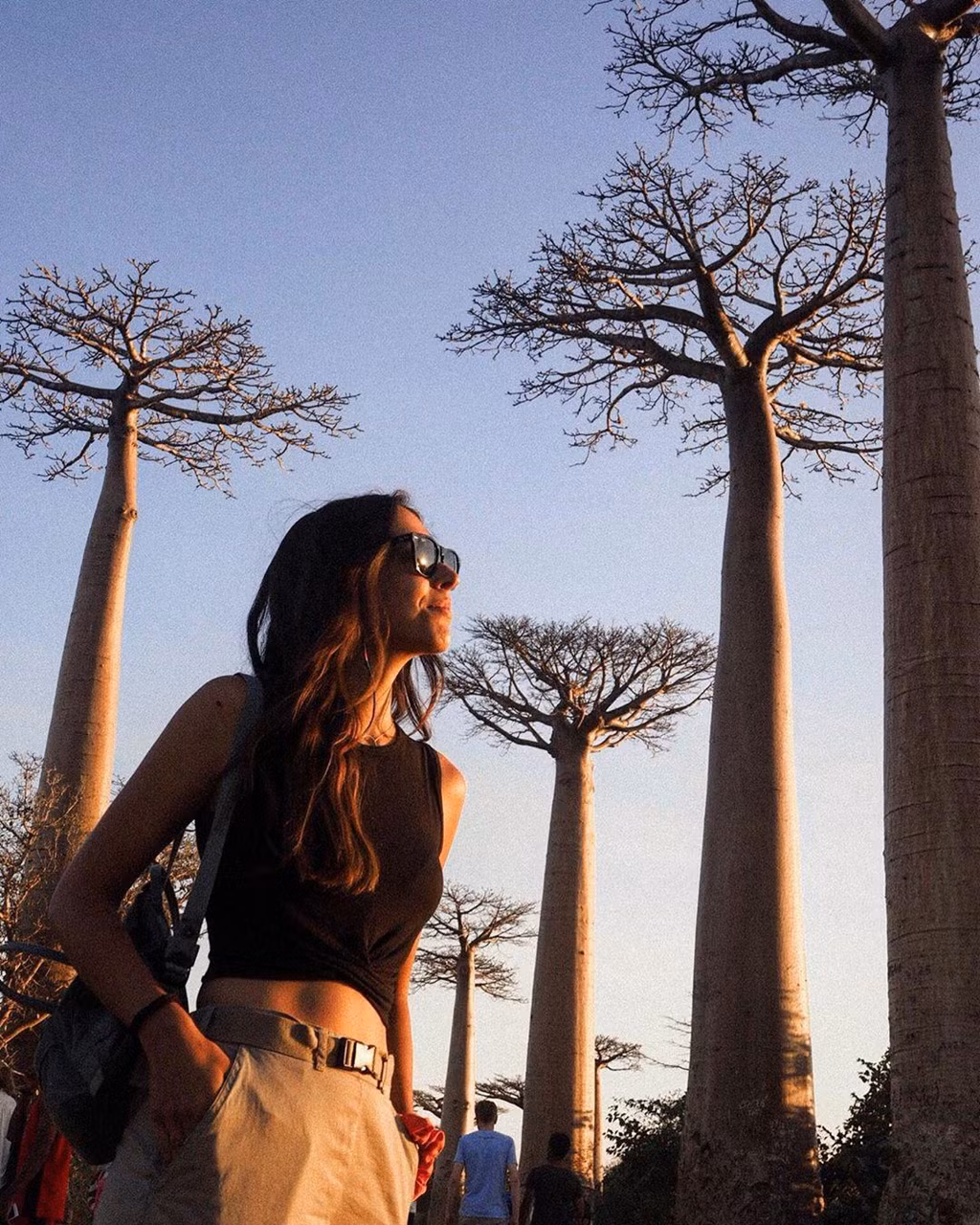 Hàng cây liên tiếp với những thế đứng độc đáo, sừng sững giữa trời, tạo nên phong cảnh kỳ vĩ, tuyệt đẹp. Ảnh: Maissydc.