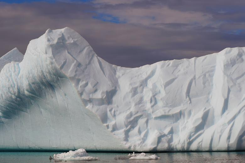 Hiện tại, cả chính phủ Mỹ và Đan Mạch vẫn chưa đưa ra bất kỳ bình luận chính thức nào về thông tin liên quan đến vụ mua đảo Greenland.