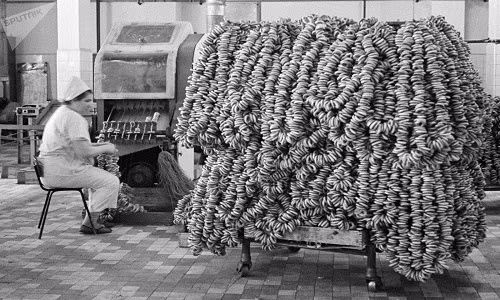 Bên trong nhà máy sản xuất sushki - một loại bánh mì truyền thống nhỏ, giòn và có vị ngọt nhẹ - năm 1967.