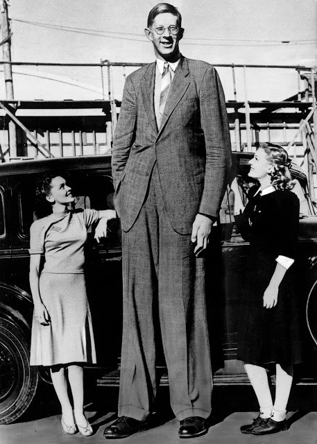 Robert Wadlow mất ngày 15/7/1940 sau khi vết thương ở mắt cá chân bên phải bị nhiễm trùng.