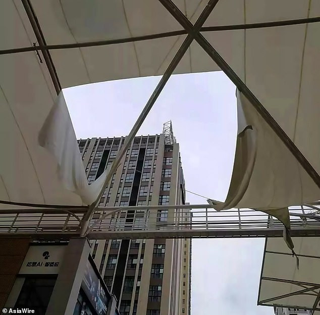 Các nhà chức trách đang mở cuộc điều tra vụ việc. Tuy nhiên, theo suy đoán ban đầu, lượng mưa quá lớn có thể đã khiến cho phần mái bằng vải bạt quá nặng do không thoát nước kịp, bị rách và nước ồ ạt đổ xuống.