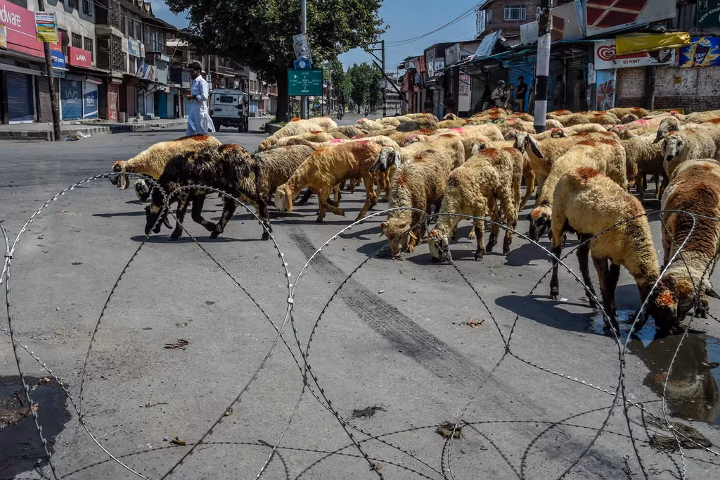Ngày 5/8, Ấn Độ nhanh chóng và đơn phương quyết định hủy bỏ quyền tự trị của Kashmir, làm gia tăng căng thẳng nghiêm trọng với nước láng giềng Pakistan. Pakistan và Ấn Độ đều tuyên bố chủ quyền với toàn bộ Kashmir, và mỗi bên kiểm soát thực tế một phần của khu vực này.