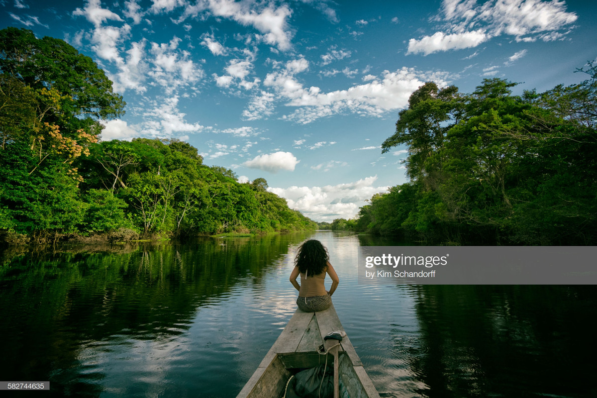 Rừng mưa Amazon rất đa dạng sinh học. Khu rừng này là quê hương của khoảng 2,5 triệu loài côn trùng, hàng chục nghìn loài thực vật và khoảng 2.000 loài chim, thú. Ảnh: Getty.