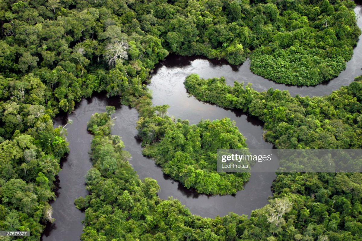 Amazon không khác gì một khu bảo tồn thiên nhiên của thế giới và là khu dự trữ sinh quyển cho loài người. Ảnh: Getty.