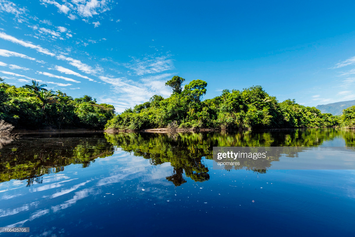 Rừng mưa Amazon sản sinh ra gần 20% lượng khí oxy trong khí quyển Trái Đất và được ví như "lá phổi của hành tinh". Ảnh: Getty.